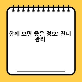 함께 보면 좋은 정보: 잔디 관리