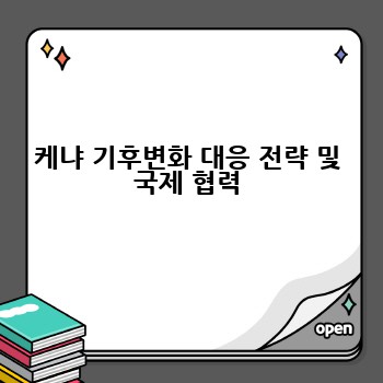 케냐 기후변화 대응 전략 및 국제 협력