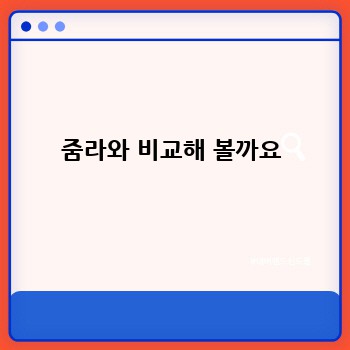 줌라와 비교해 볼까요