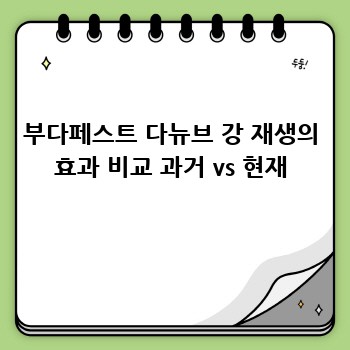 부다페스트 다뉴브 강 재생의 효과 비교 과거 vs 현재
