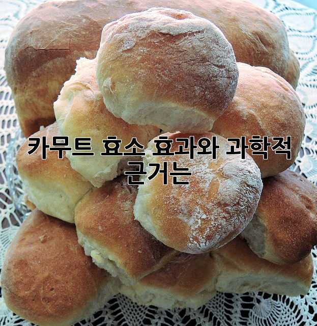 카무트 효소: 효과와 과학적 근거는?