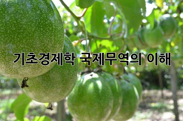 기초경제학: 국제무역의 이해