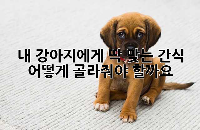 내 강아지에게 딱 맞는 간식, 어떻게 골라줘야 할까요?