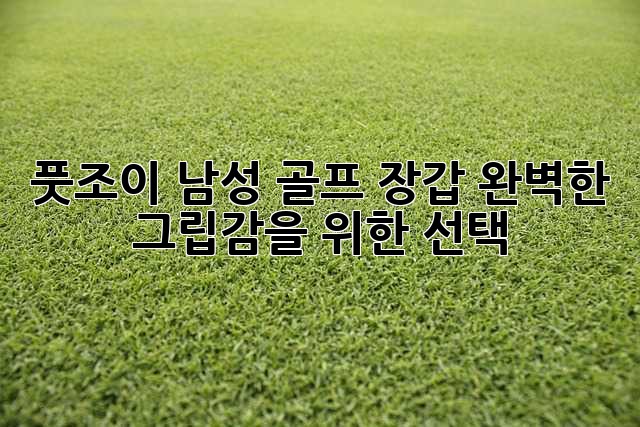 풋조이 남성 골프 장갑: 완벽한 그립감을 위한 선택?
