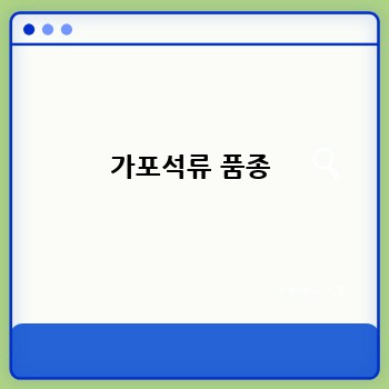 가포석류 품종