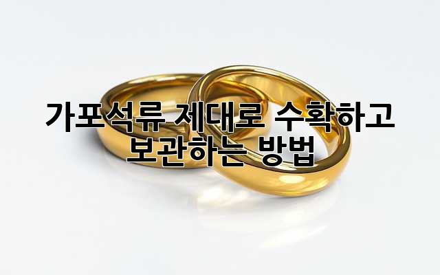 가포석류 제대로 수확하고 보관하는 방법