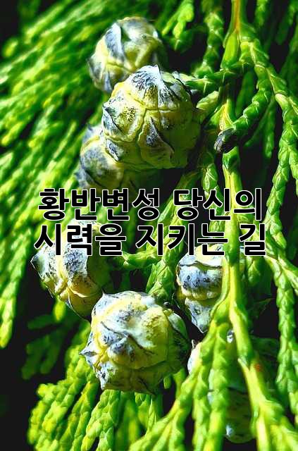 황반변성: 당신의 시력을 지키는 길