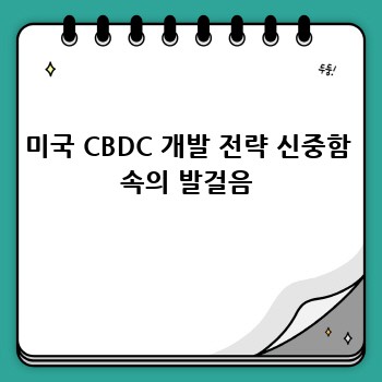 미국 CBDC 개발 전략 신중함 속의 발걸음