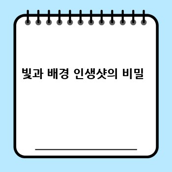 빛과 배경 인생샷의 비밀 