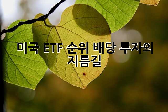 미국 ETF 순위: 배당 투자의 지름길