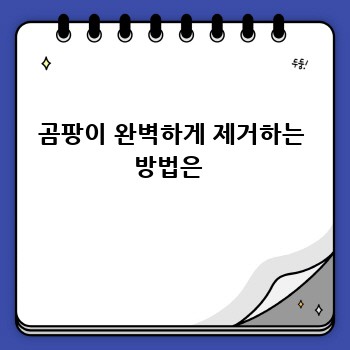 곰팡이 완벽하게 제거하는 방법은 