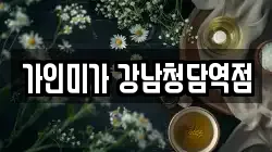가인미가 강남청담역점